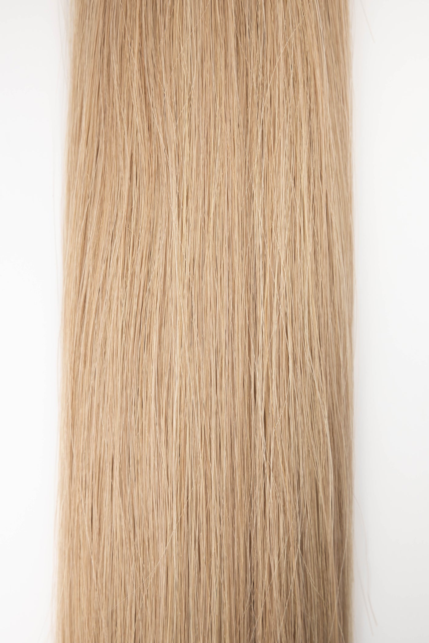 Flex Weft- St. Augustine