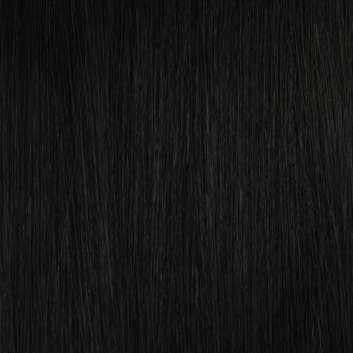 Flex Weft – Seattle