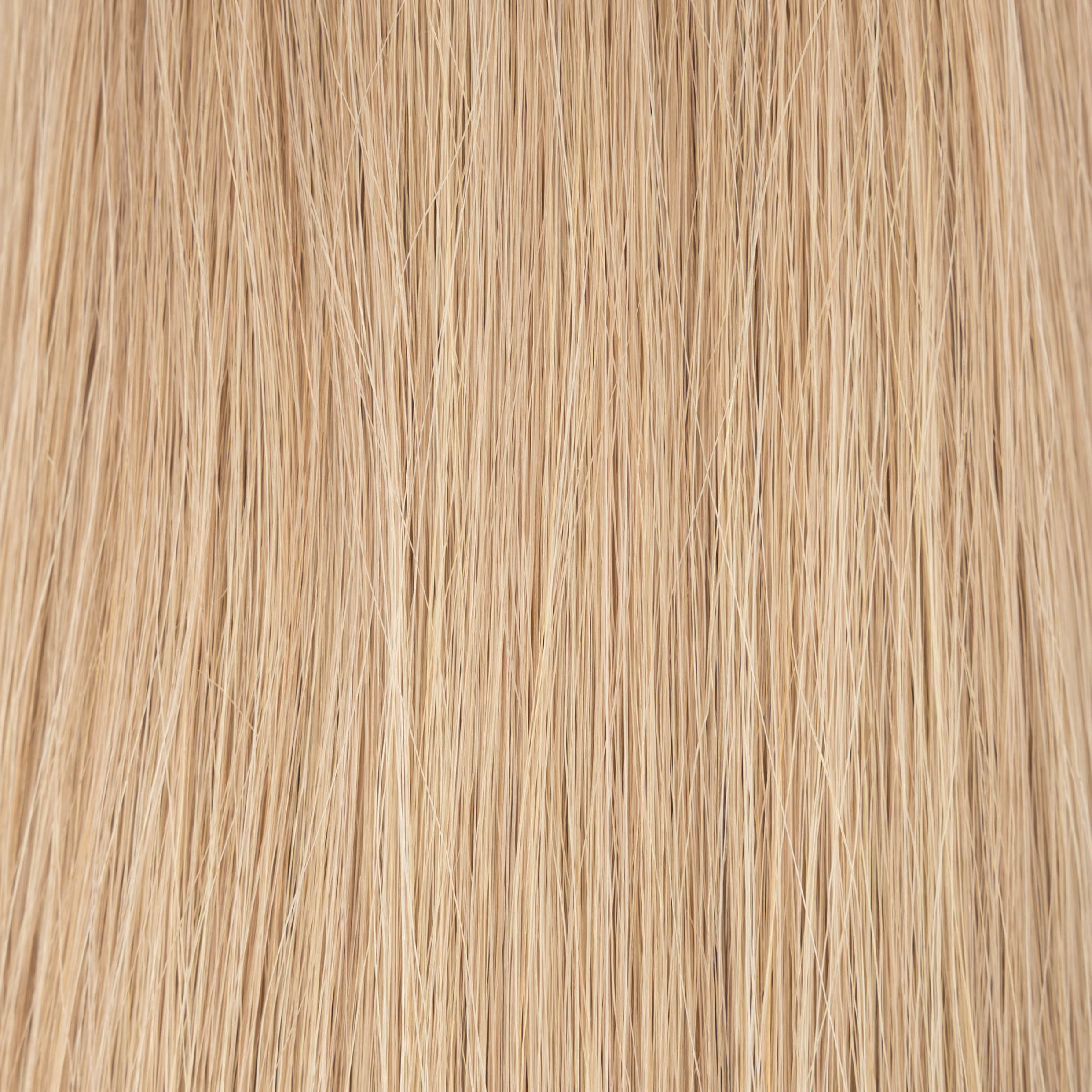 Half Pack Genius Weft- St. Augustine (50G)