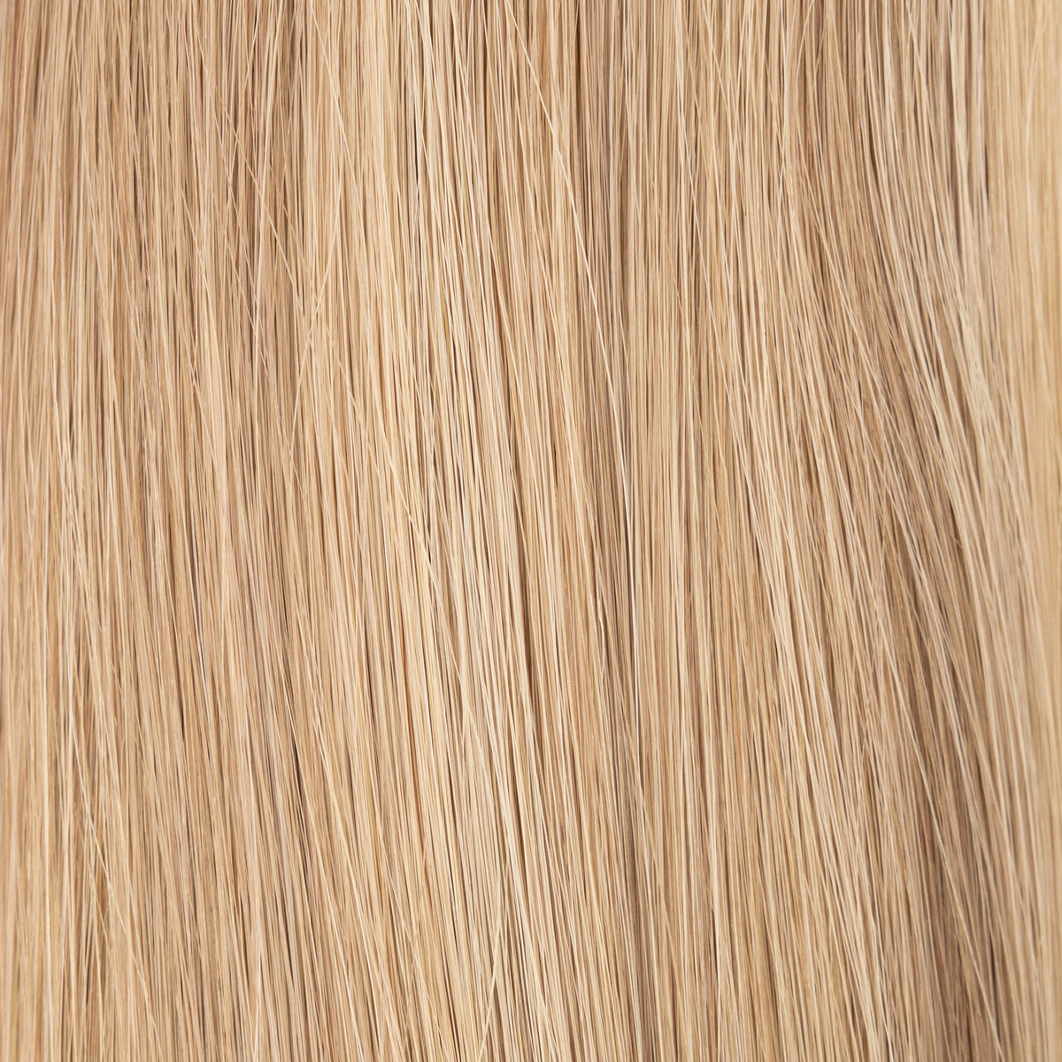 Flex Weft – San Diego